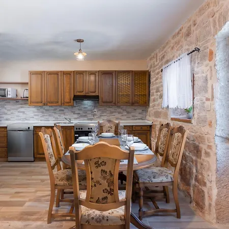 Zinnia By Briskva Fabci