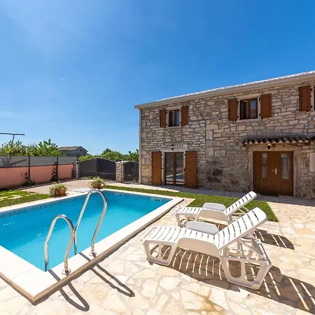 Zinnia By Briskva Fabci