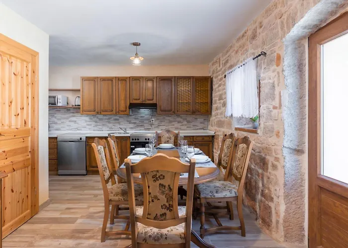 Zinnia By Briskva Fabci