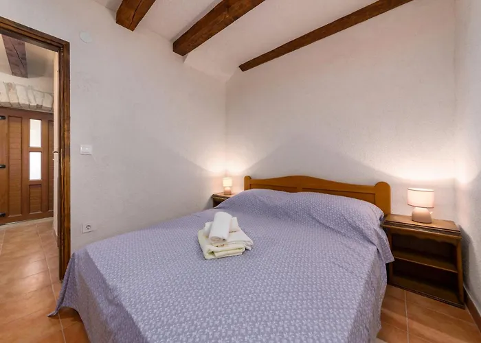 Zinnia By Briskva Fabci